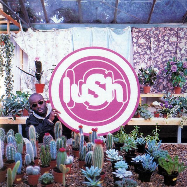 Lovelife — Lush, 4AD, 1996. The final Lush album before drummer Chris Acland's death ended the band. 'Ladykillers' was the band's highest UK chart position; they had arrived at pop accessibility via a decade of 4AD atmosphere.