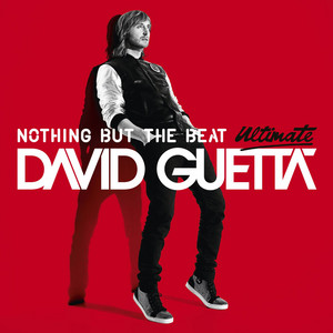 David Guetta — a dominant figure in the Tomorrowland Mainstage programming for over fifteen years, returning in 2026 as one of the festival's most bankable acts.